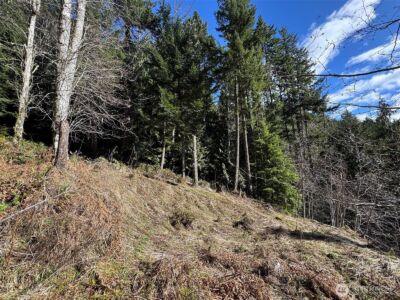 9999 Lake Dawn Road , Port Angeles, WA 98362 - Photo 17