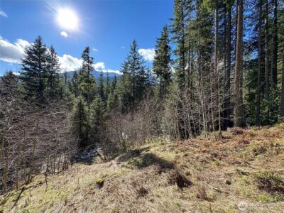 9999 Lake Dawn Road , Port Angeles, WA 98362 - Photo 18