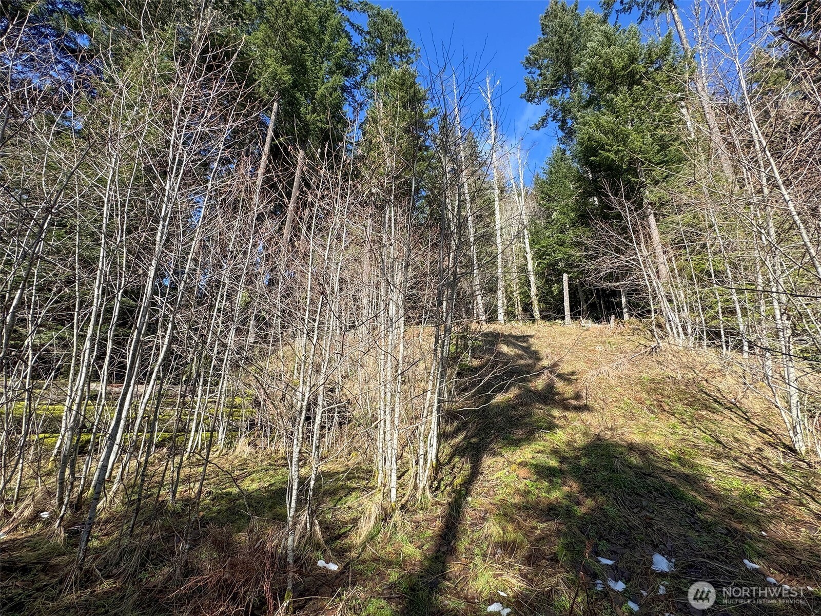 9999 Lake Dawn Road , Port Angeles, WA 98362