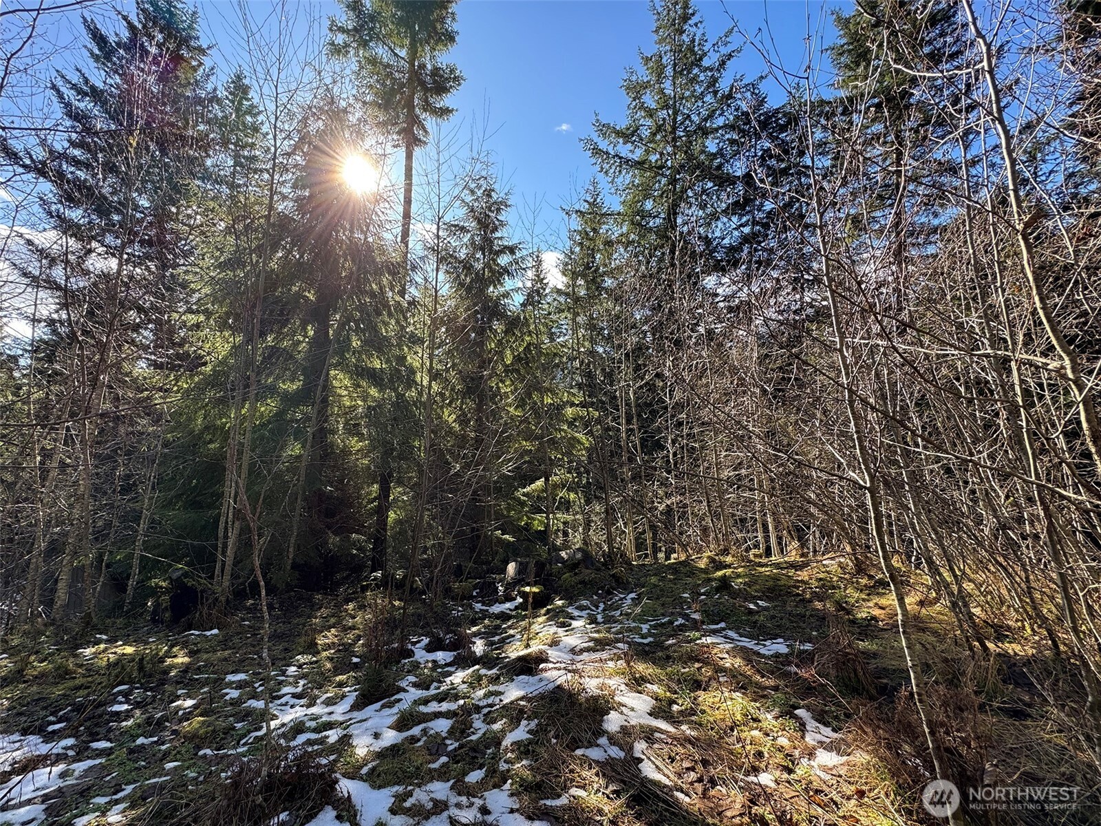 9999 Lake Dawn Road , Port Angeles, WA 98362