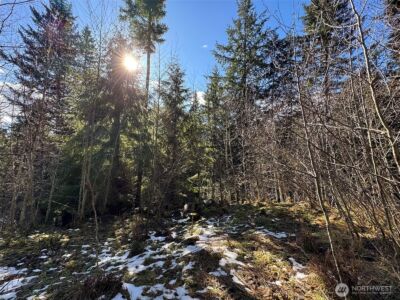 9999 Lake Dawn Road , Port Angeles, WA 98362 - Photo 20