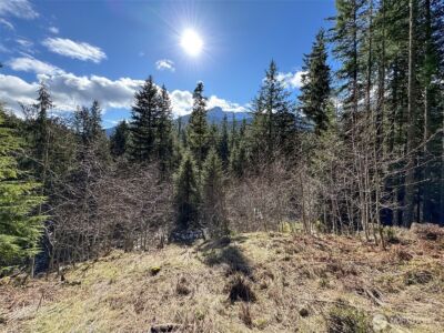 9999 Lake Dawn Road , Port Angeles, WA 98362 - Photo 2