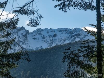 9999 Lake Dawn Road , Port Angeles, WA 98362 - Photo 22