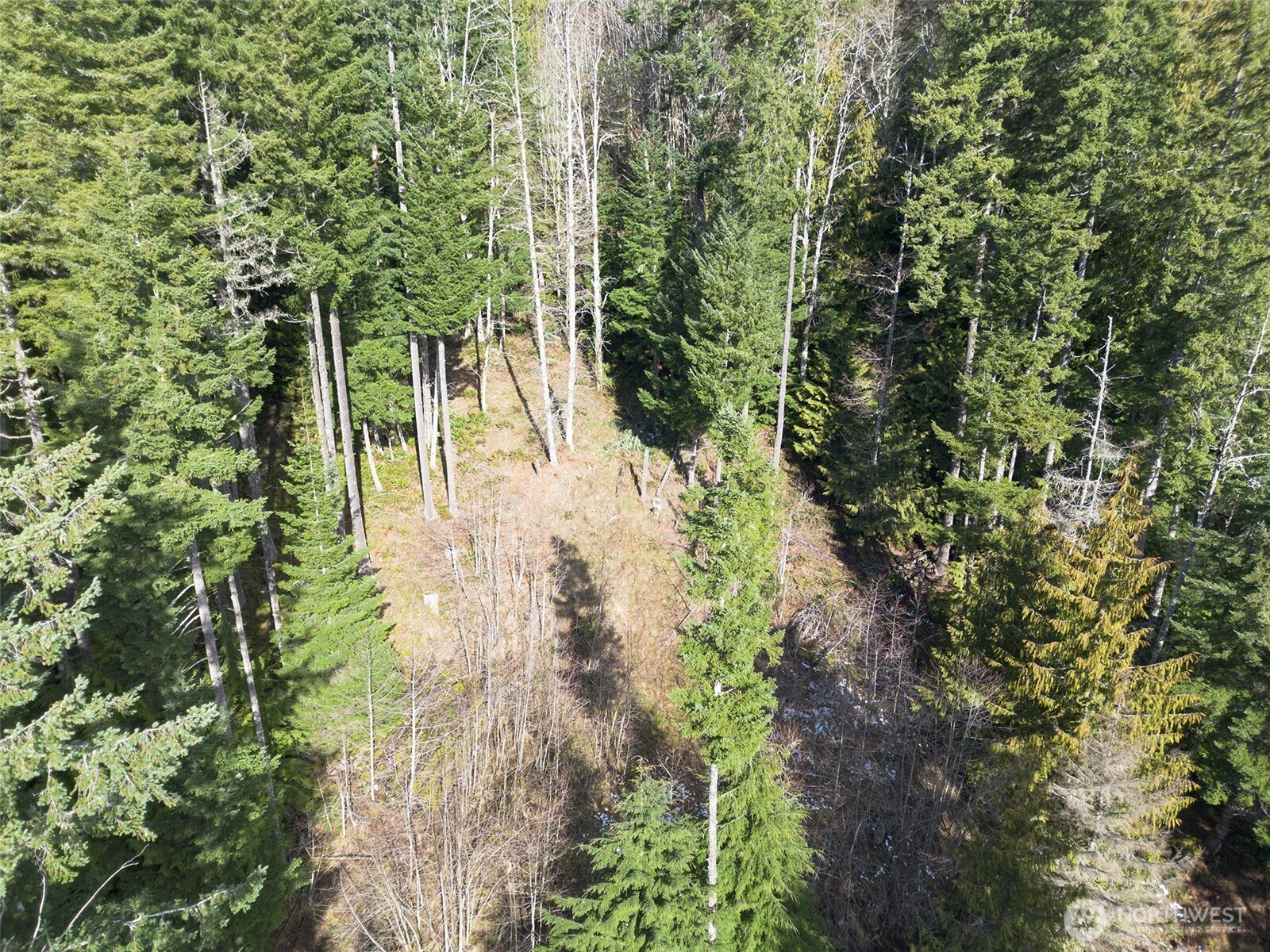 9999 Lake Dawn Road , Port Angeles, WA 98362