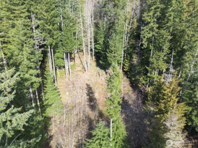 9999 Lake Dawn Road , Port Angeles, WA 98362 - Photo 25