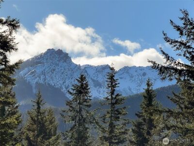 9999 Lake Dawn Road , Port Angeles, WA 98362 - Photo 3
