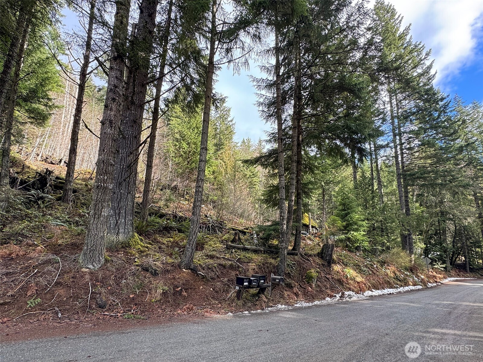 9999 Lake Dawn Road , Port Angeles, WA 98362