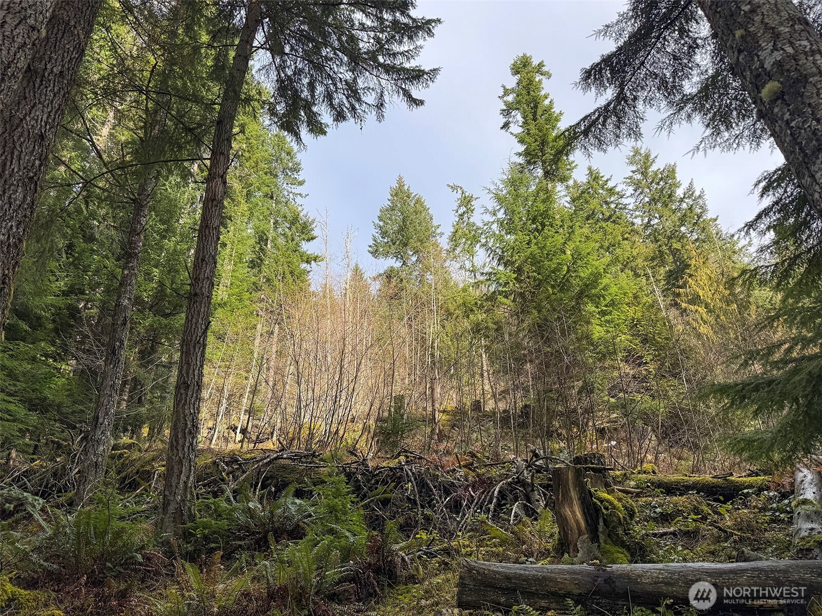 9999 Lake Dawn Road , Port Angeles, WA 98362