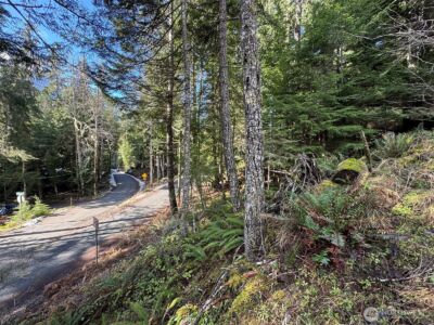 9999 Lake Dawn Road , Port Angeles, WA 98362 - Photo 10