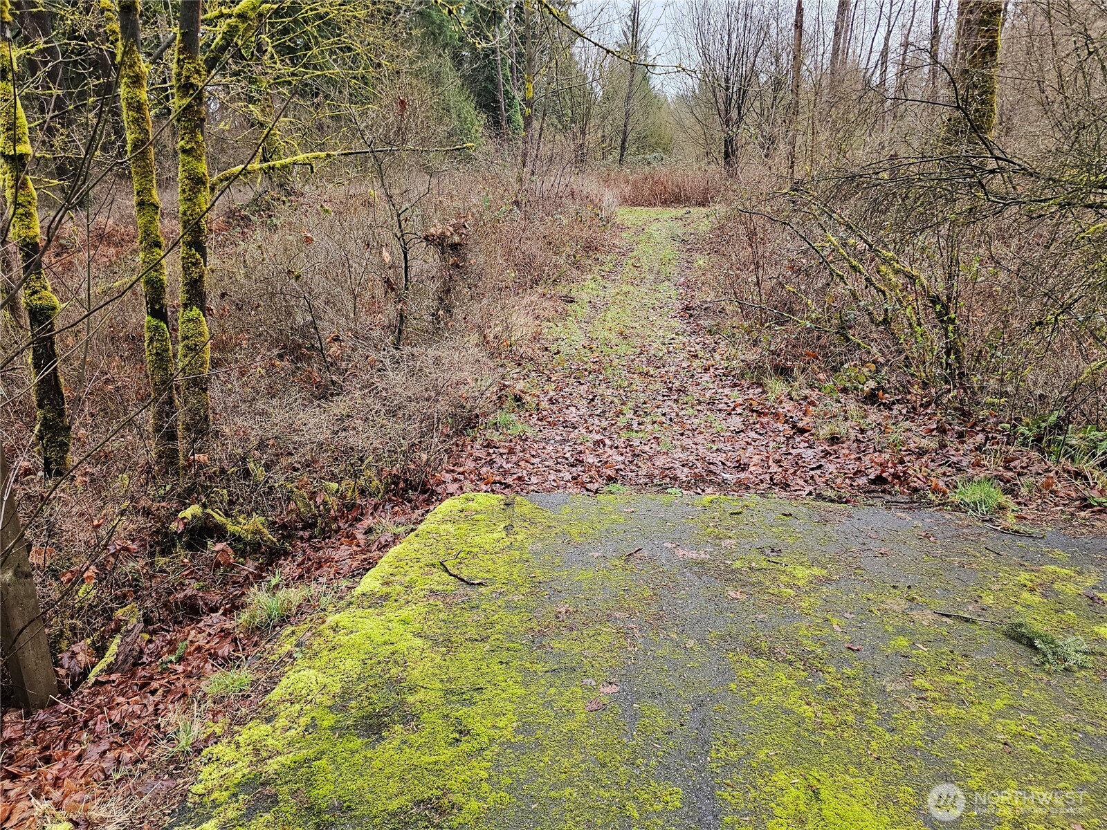 13036 188th Avenue SW, Rochester, WA 98579