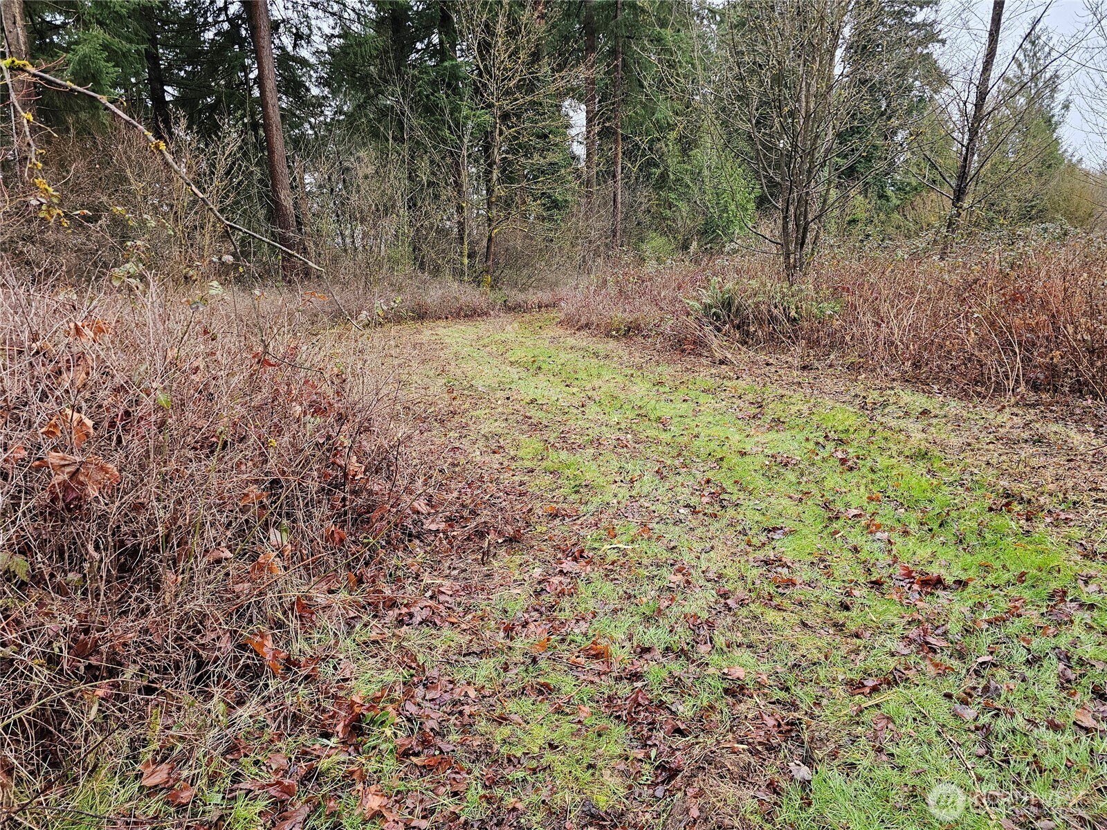 13036 188th Avenue SW, Rochester, WA 98579