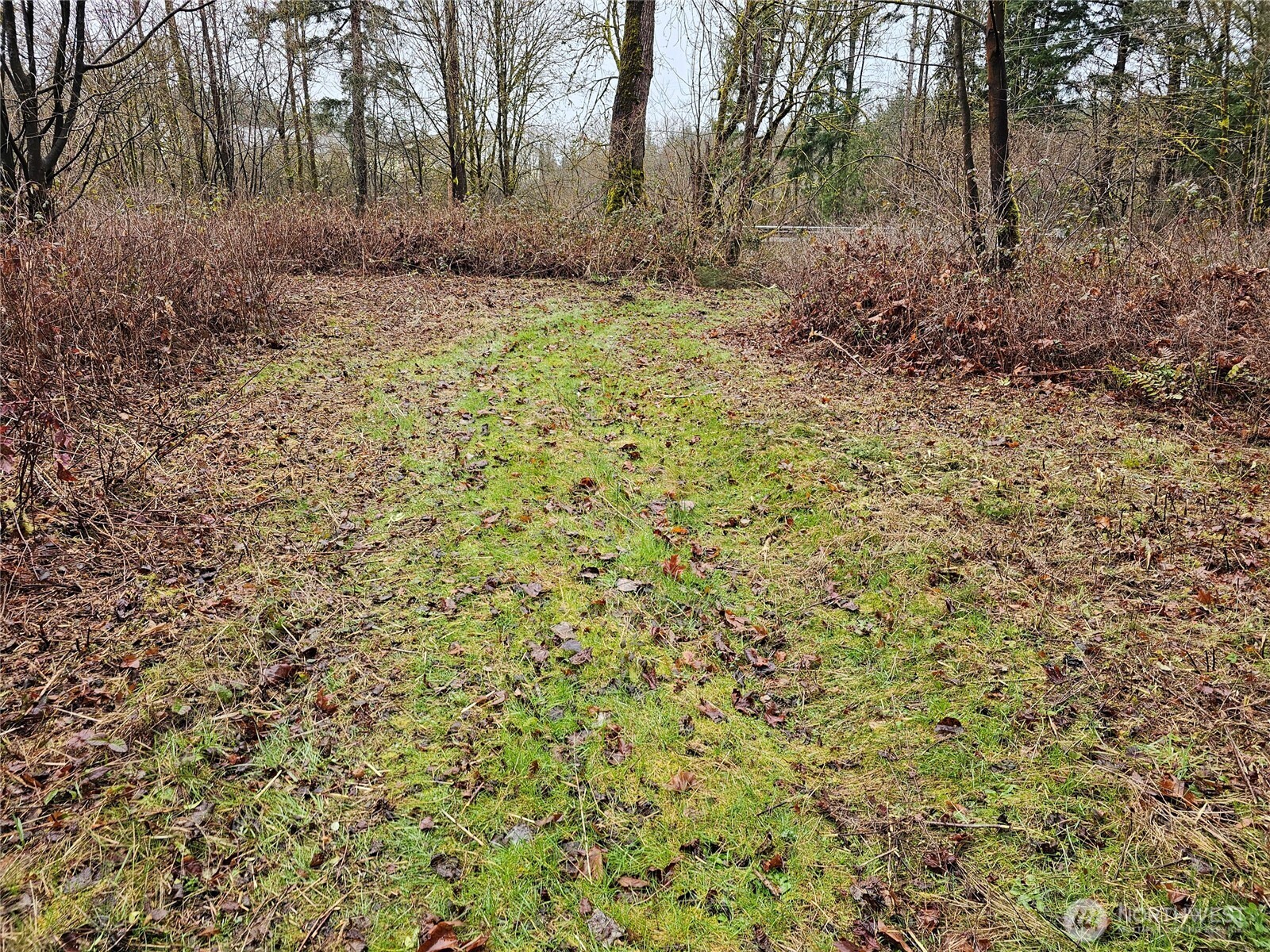 13036 188th Avenue SW, Rochester, WA 98579