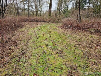 13036 188th Avenue SW, Rochester, WA 98579 - Photo 12