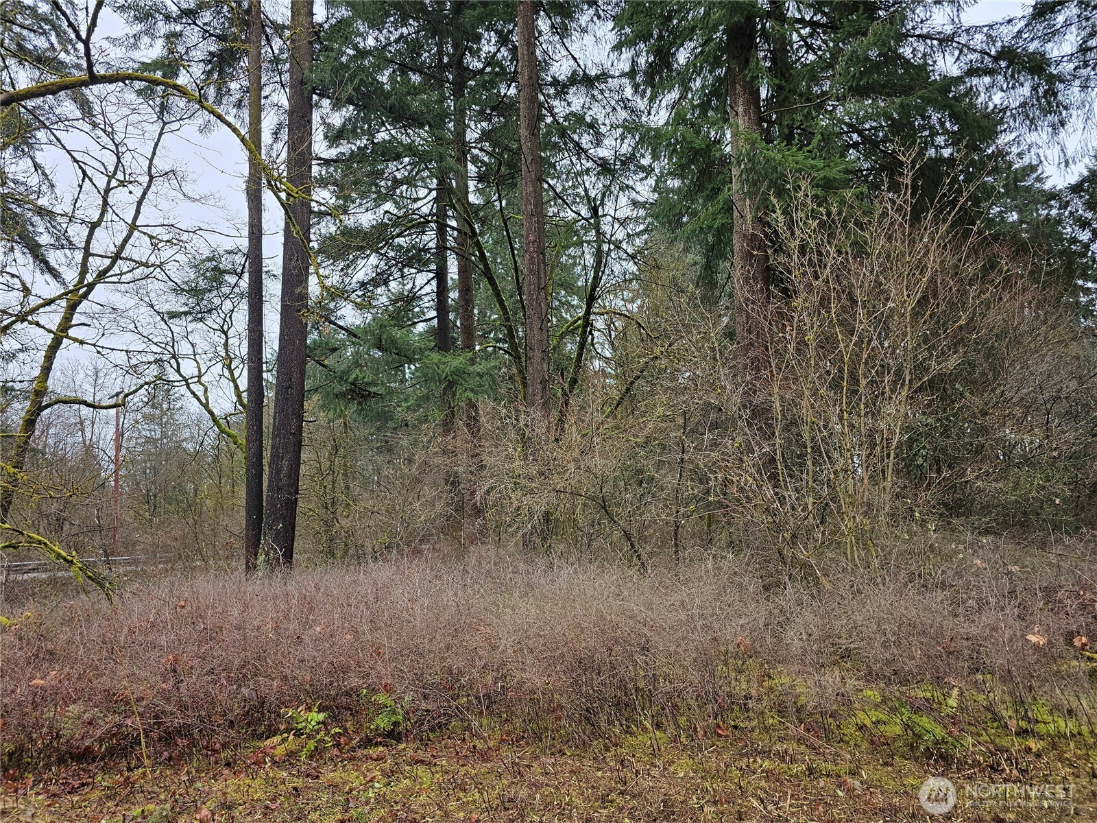 13036 188th Avenue SW, Rochester, WA 98579