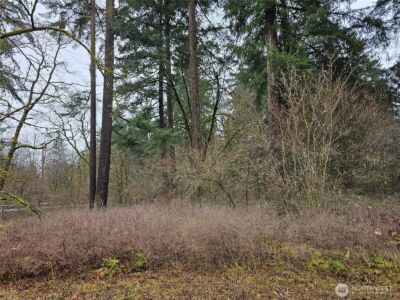 13036 188th Avenue SW, Rochester, WA 98579 - Photo 13