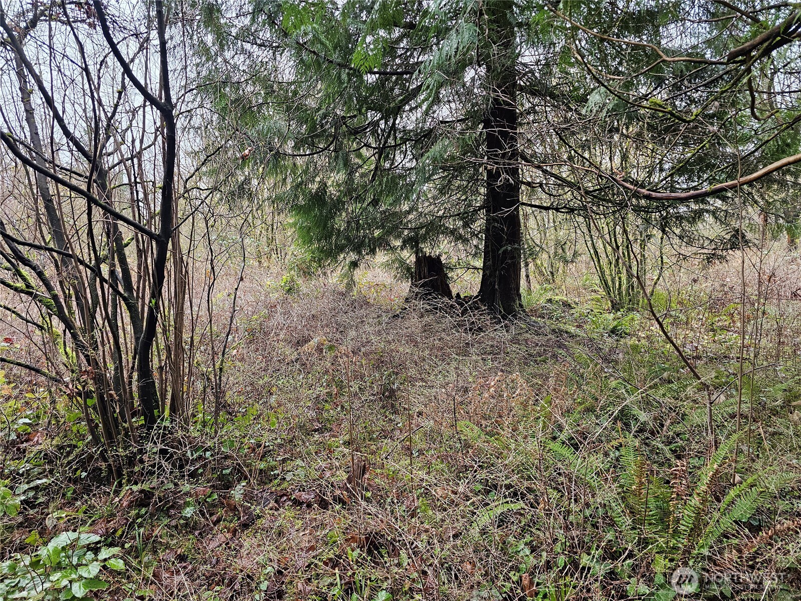 13036 188th Avenue SW, Rochester, WA 98579