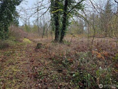 13036 188th Avenue SW, Rochester, WA 98579 - Photo 15