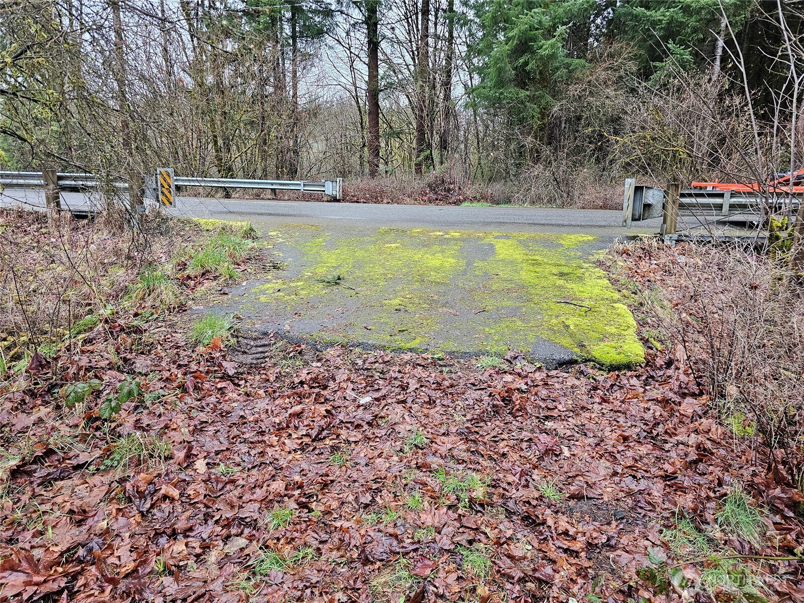 13036 188th Avenue SW, Rochester, WA 98579