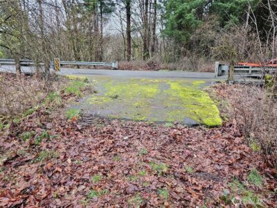 13036 188th Avenue SW, Rochester, WA 98579 - Photo 3