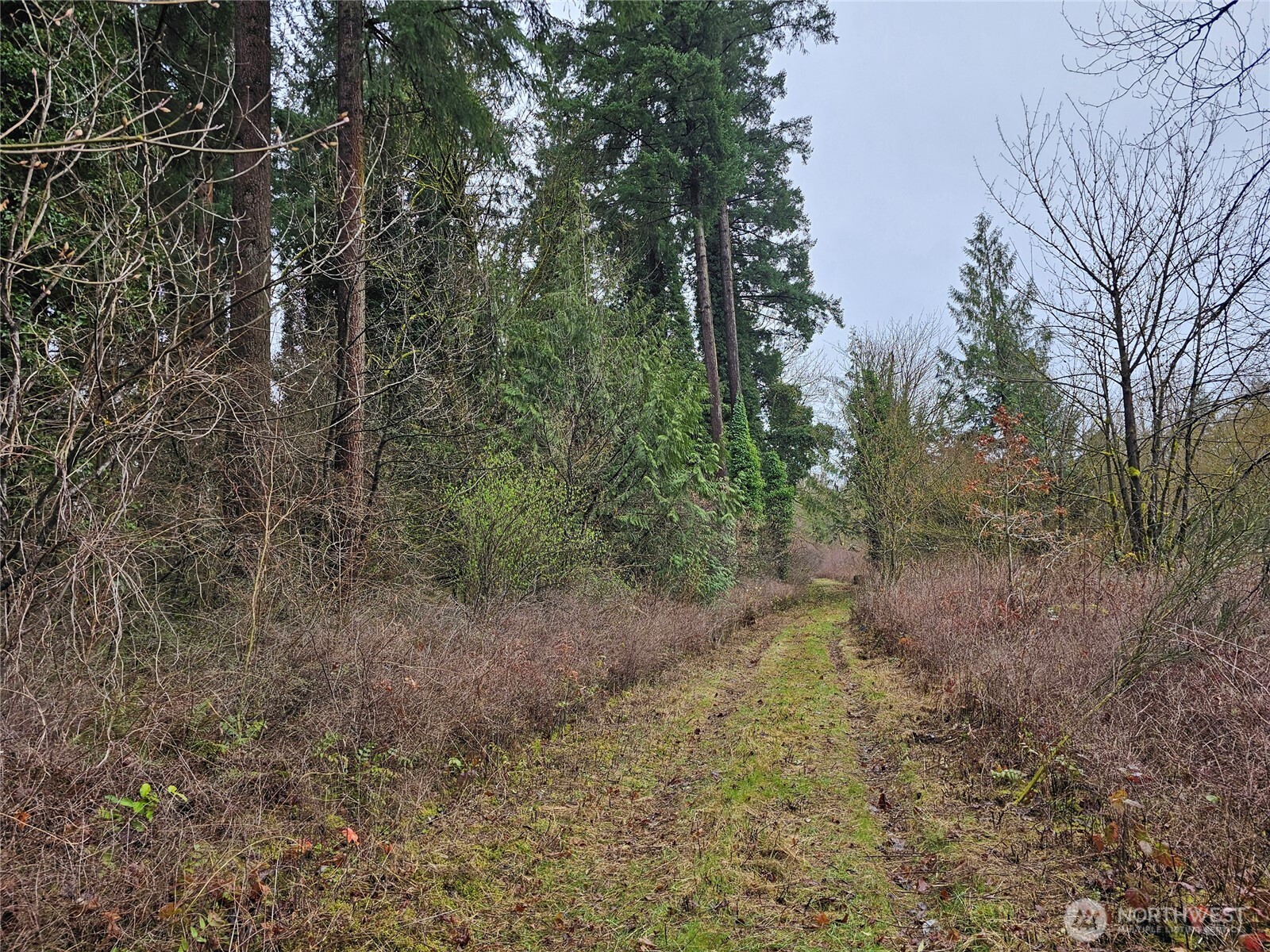 13036 188th Avenue SW, Rochester, WA 98579