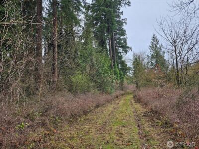 13036 188th Avenue SW, Rochester, WA 98579 - Photo 6
