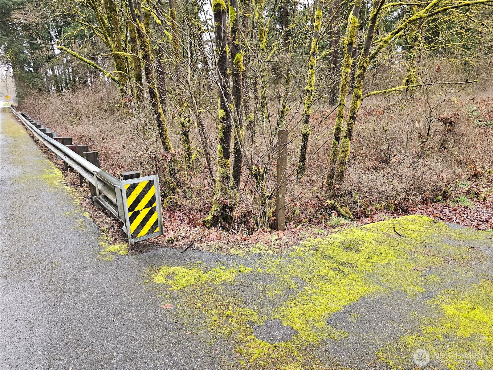 13036 188th Avenue SW, Rochester, WA 98579