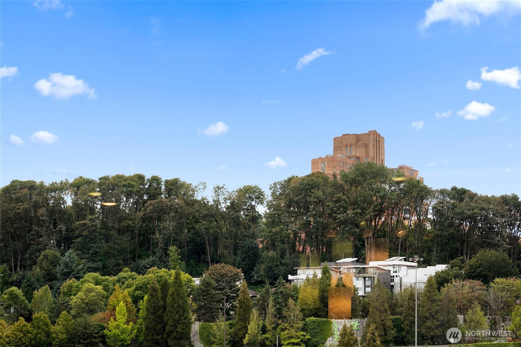 827 Hiawatha Place S #402, Seattle, WA 98144