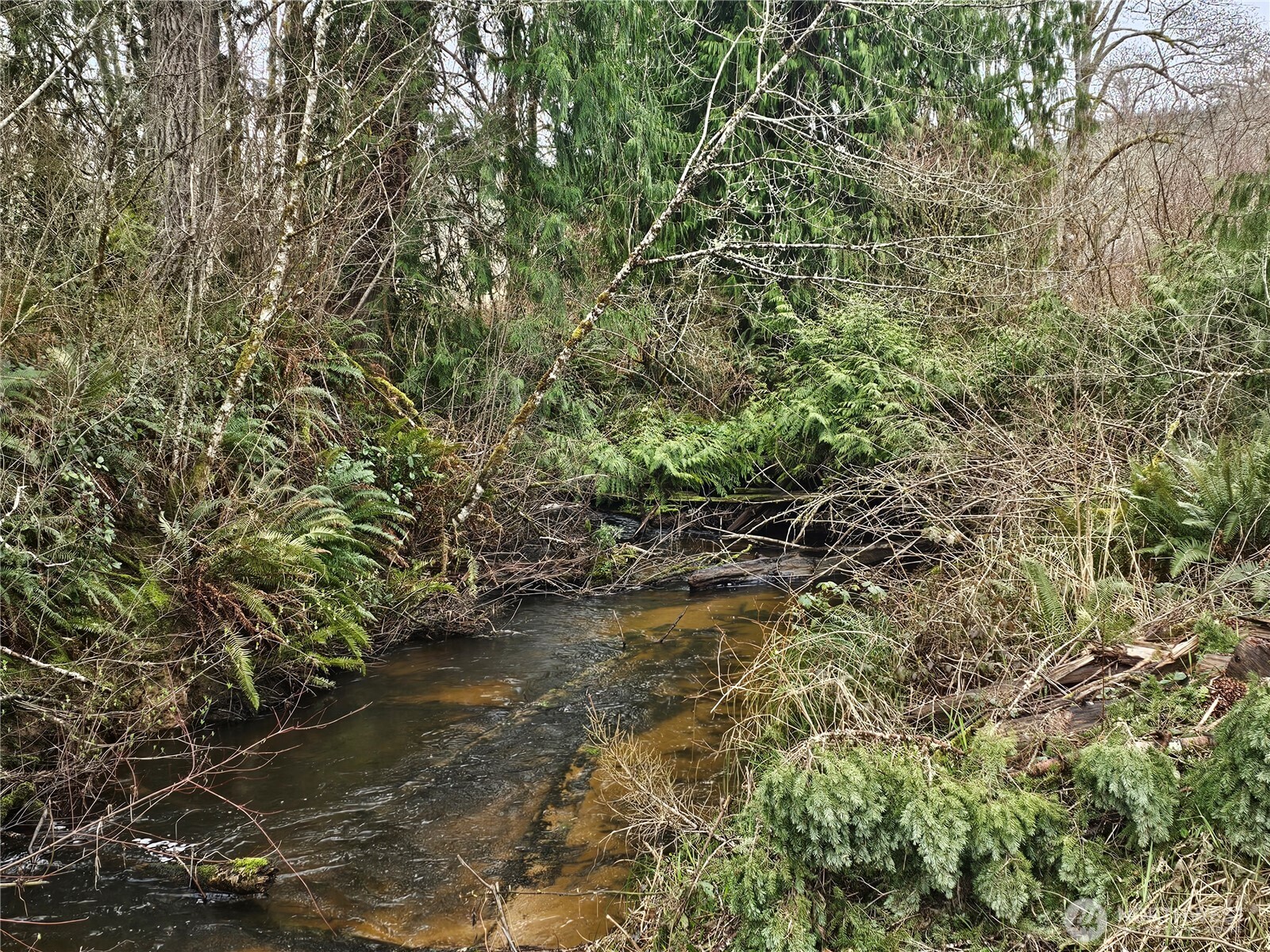 145 ONeill Road , Elma, WA 98541