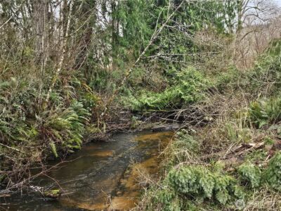 145 ONeill Road , Elma, WA 98541 - Photo 34