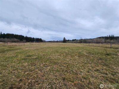 145 ONeill Road , Elma, WA 98541 - Photo 39