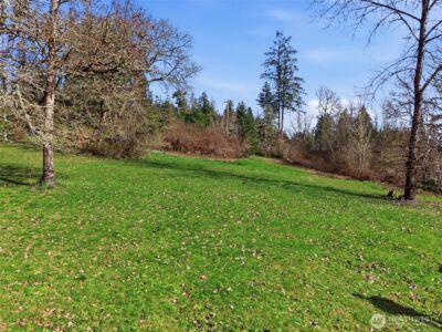 0 XXX Wallace Road , Chehalis, WA 98532 - Photo 4