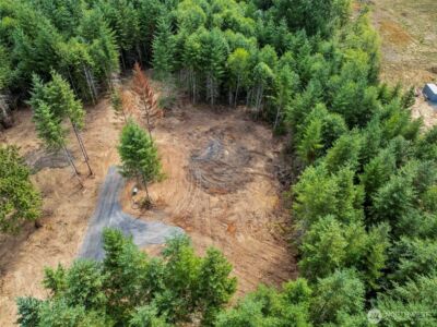 232 Durins Place , Castle Rock, WA 98611