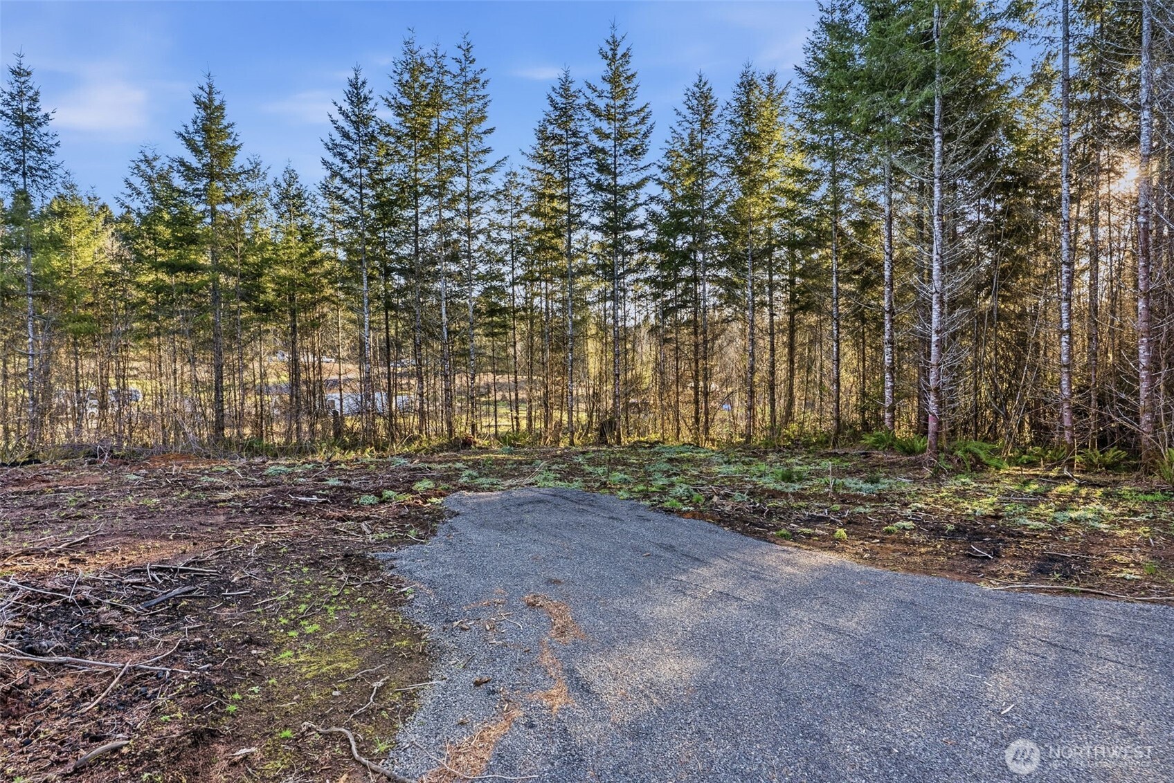 232 Durins Place , Castle Rock, WA 98611