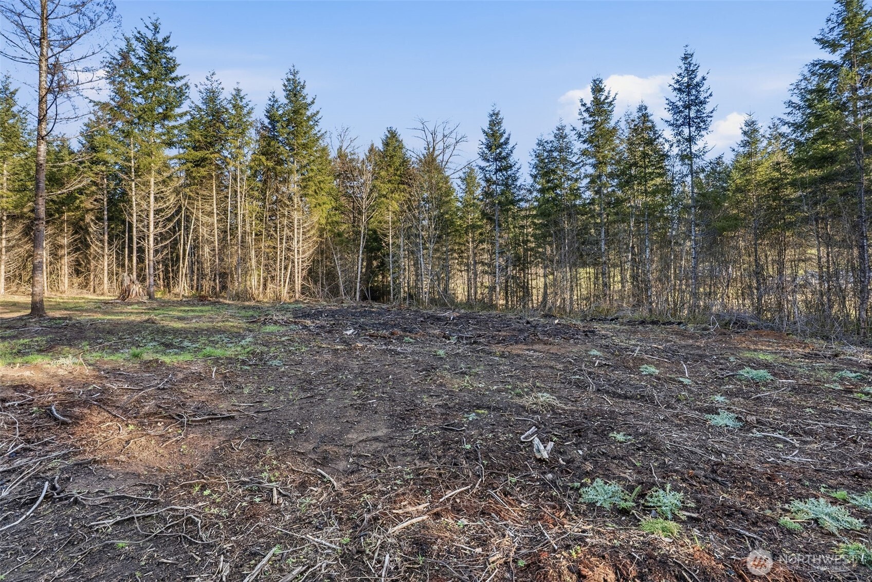 232 Durins Place , Castle Rock, WA 98611