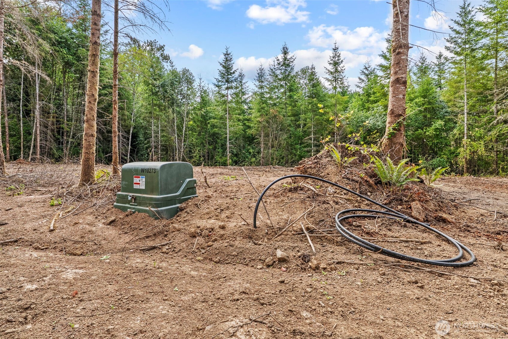 232 Durins Place , Castle Rock, WA 98611