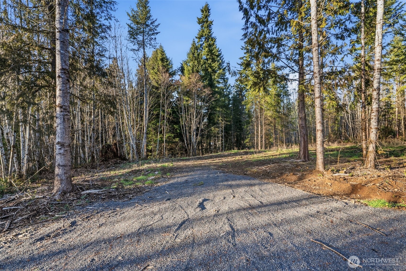 224 Durins Place , Castle Rock, WA 98611