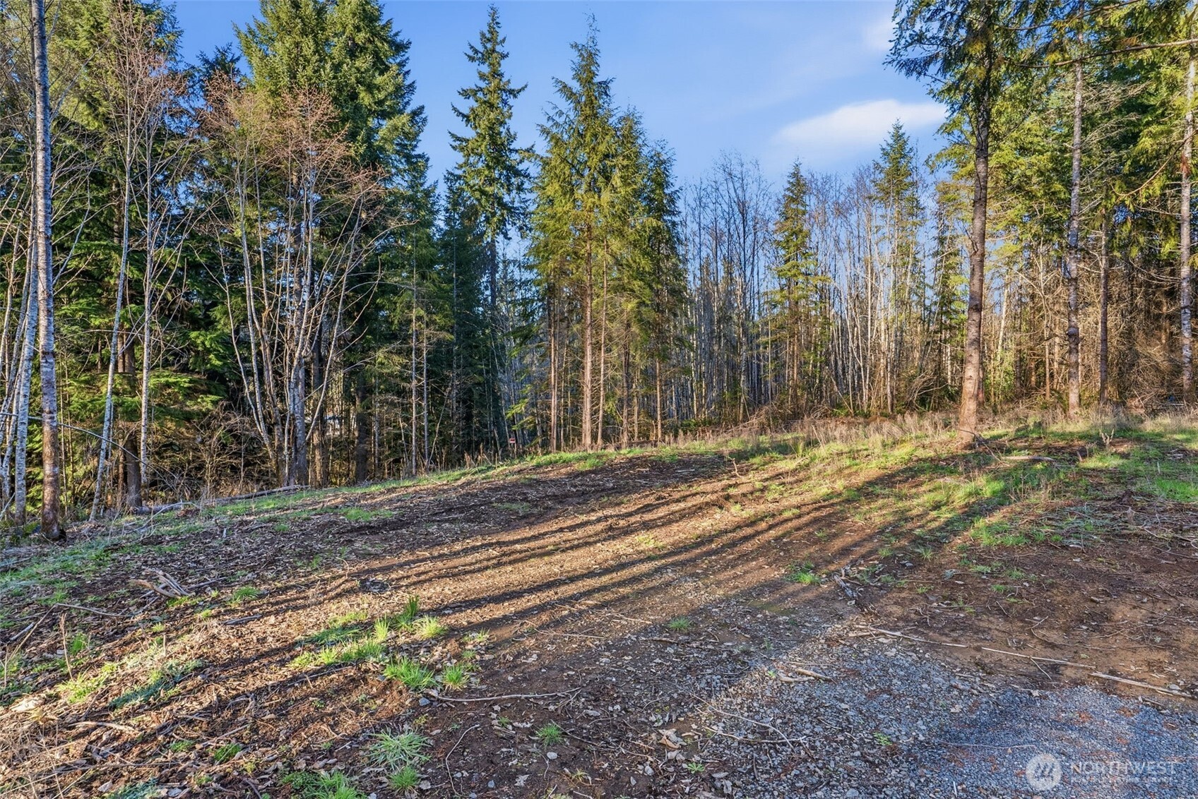 224 Durins Place , Castle Rock, WA 98611