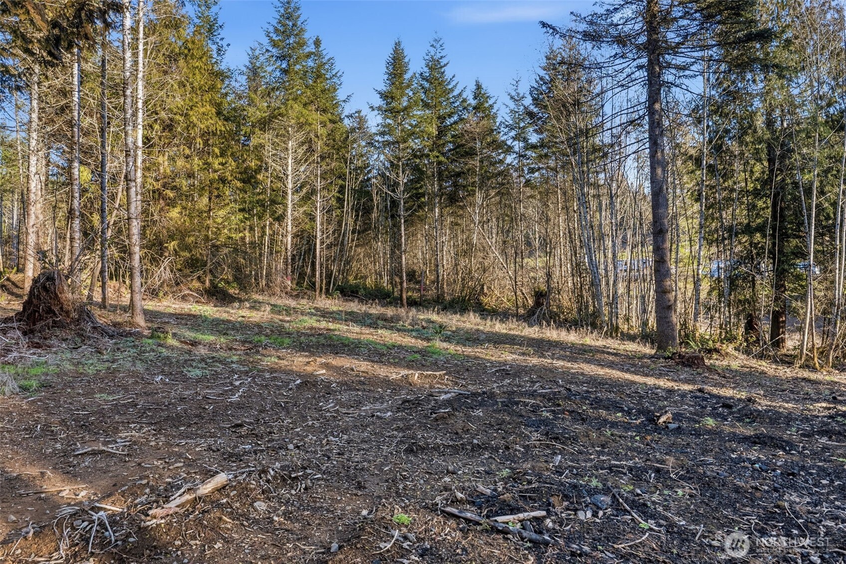 224 Durins Place , Castle Rock, WA 98611