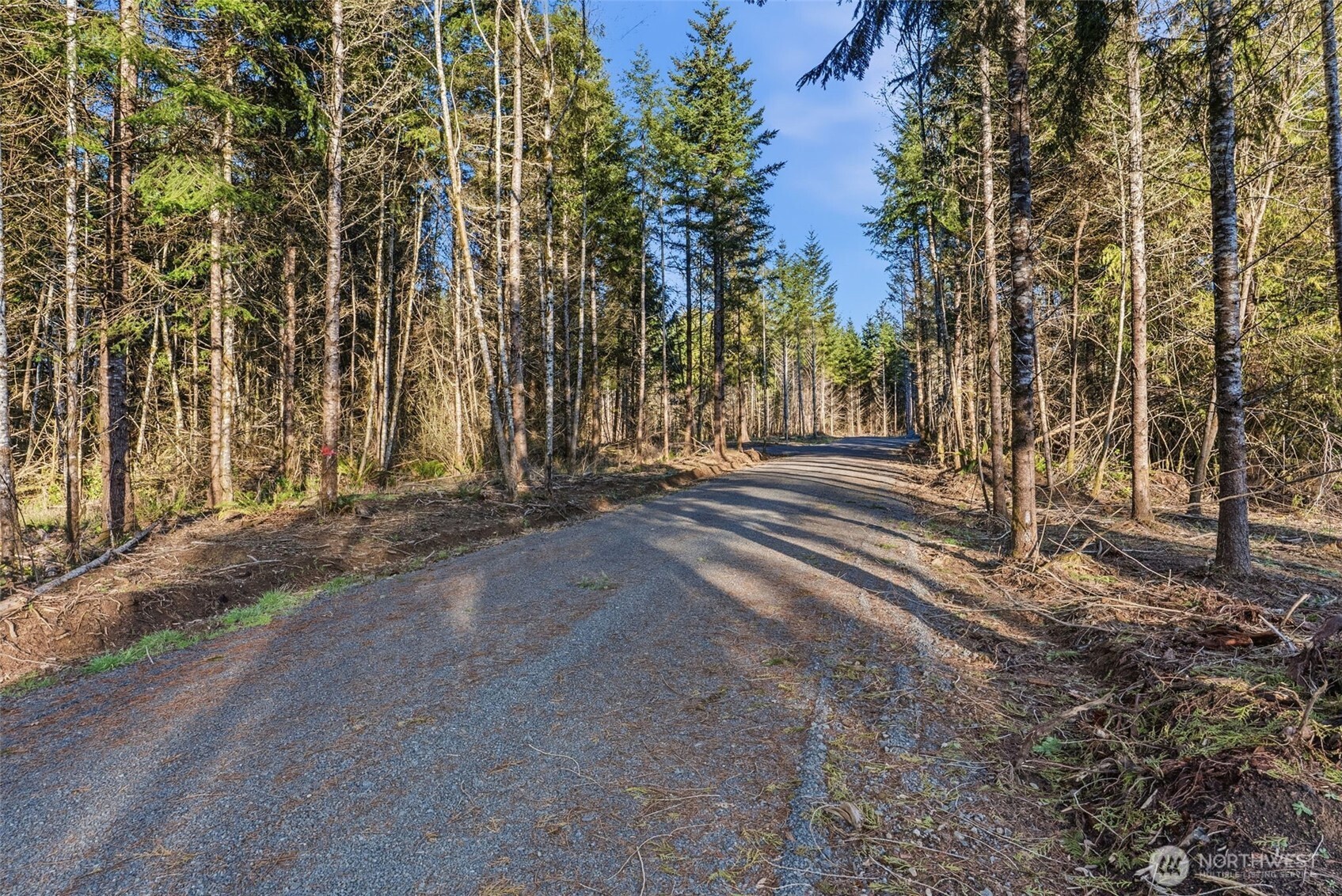 224 Durins Place , Castle Rock, WA 98611