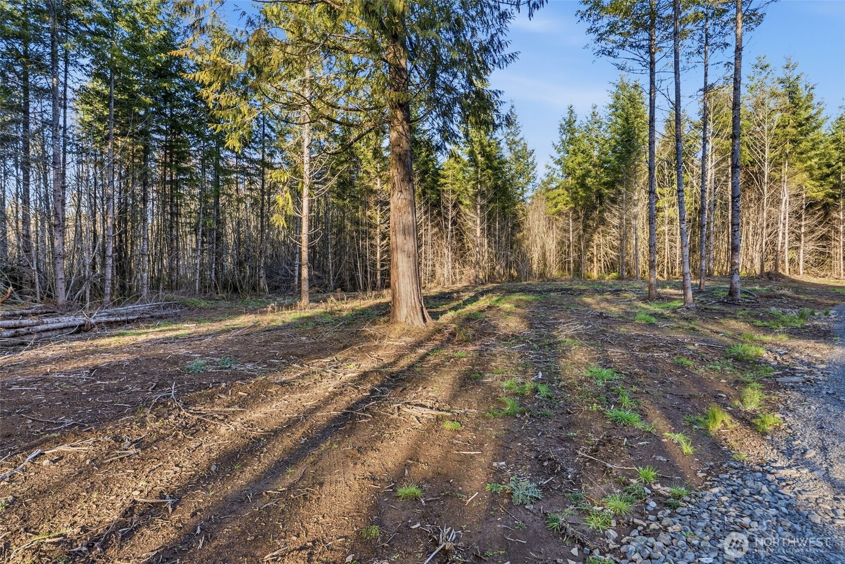 224 Durins Place , Castle Rock, WA 98611