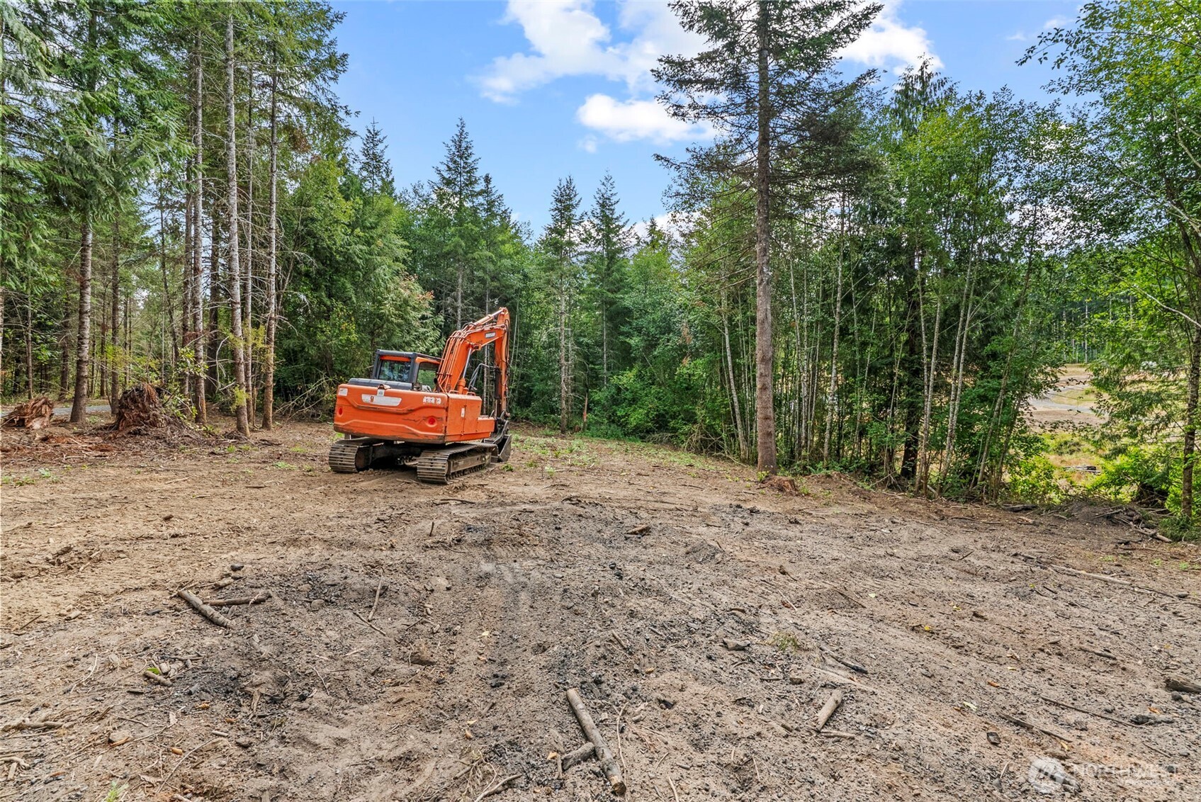 224 Durins Place , Castle Rock, WA 98611