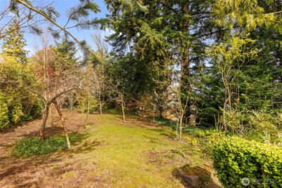 1712 NE 86th , Seattle, WA 98115 - Photo 22