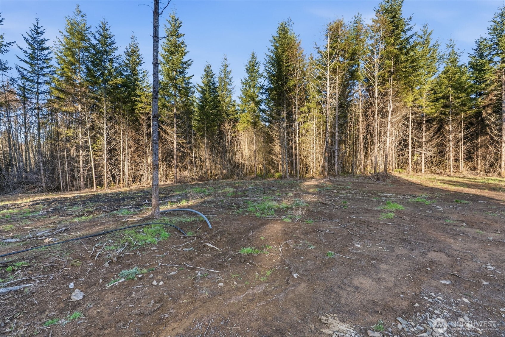 239 Durins Place , Castle Rock, WA 98611