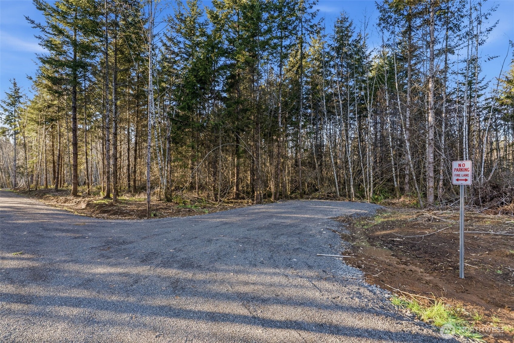 239 Durins Place , Castle Rock, WA 98611