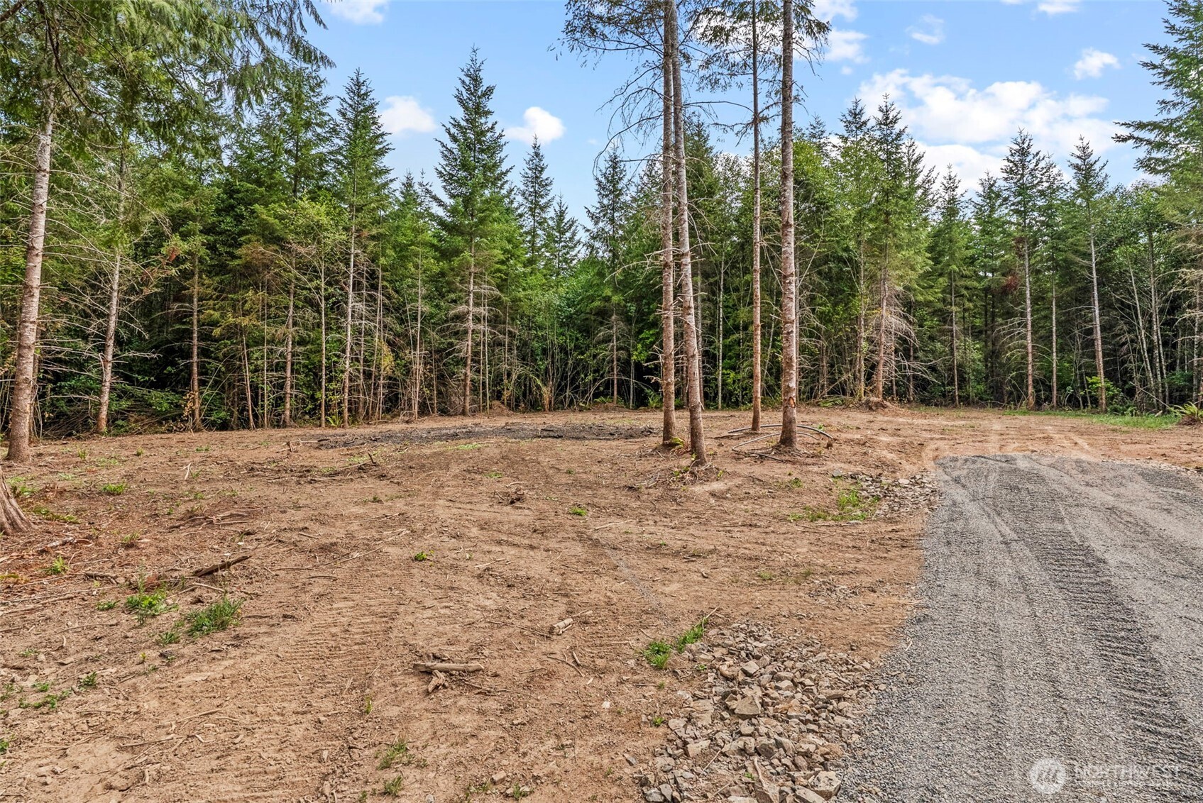 239 Durins Place , Castle Rock, WA 98611