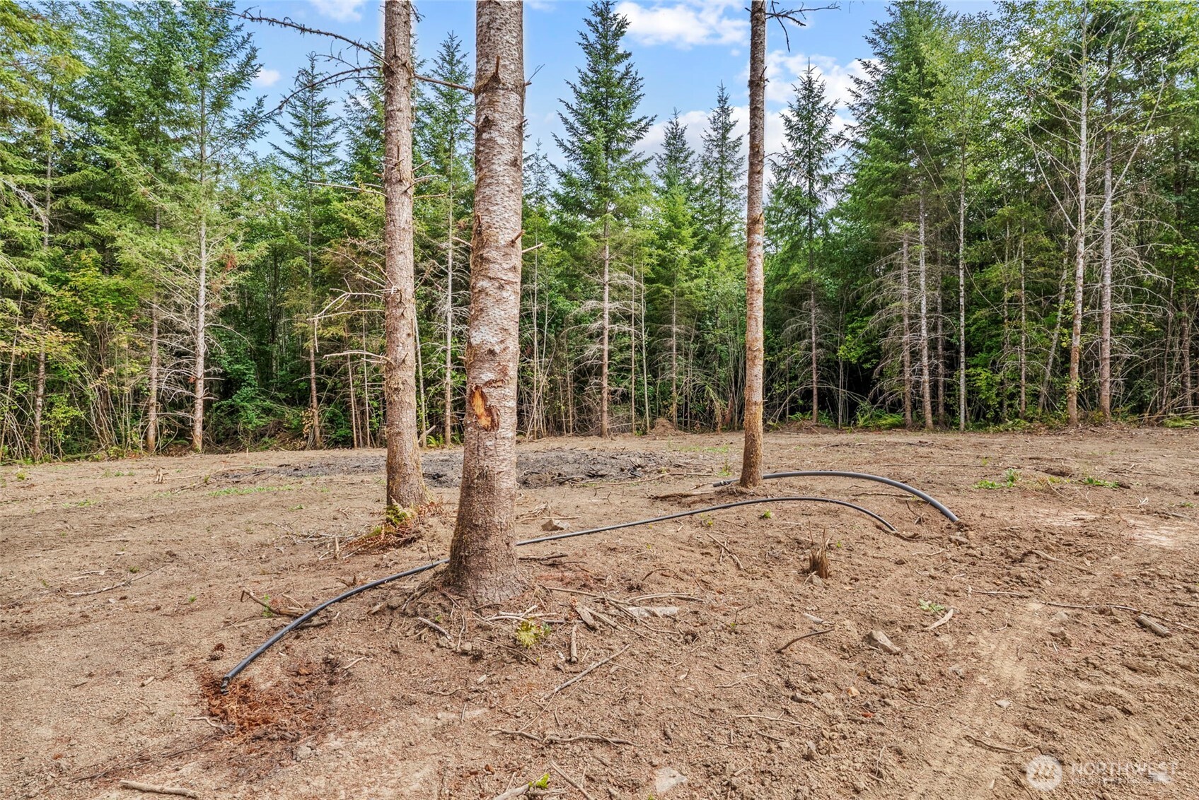 239 Durins Place , Castle Rock, WA 98611