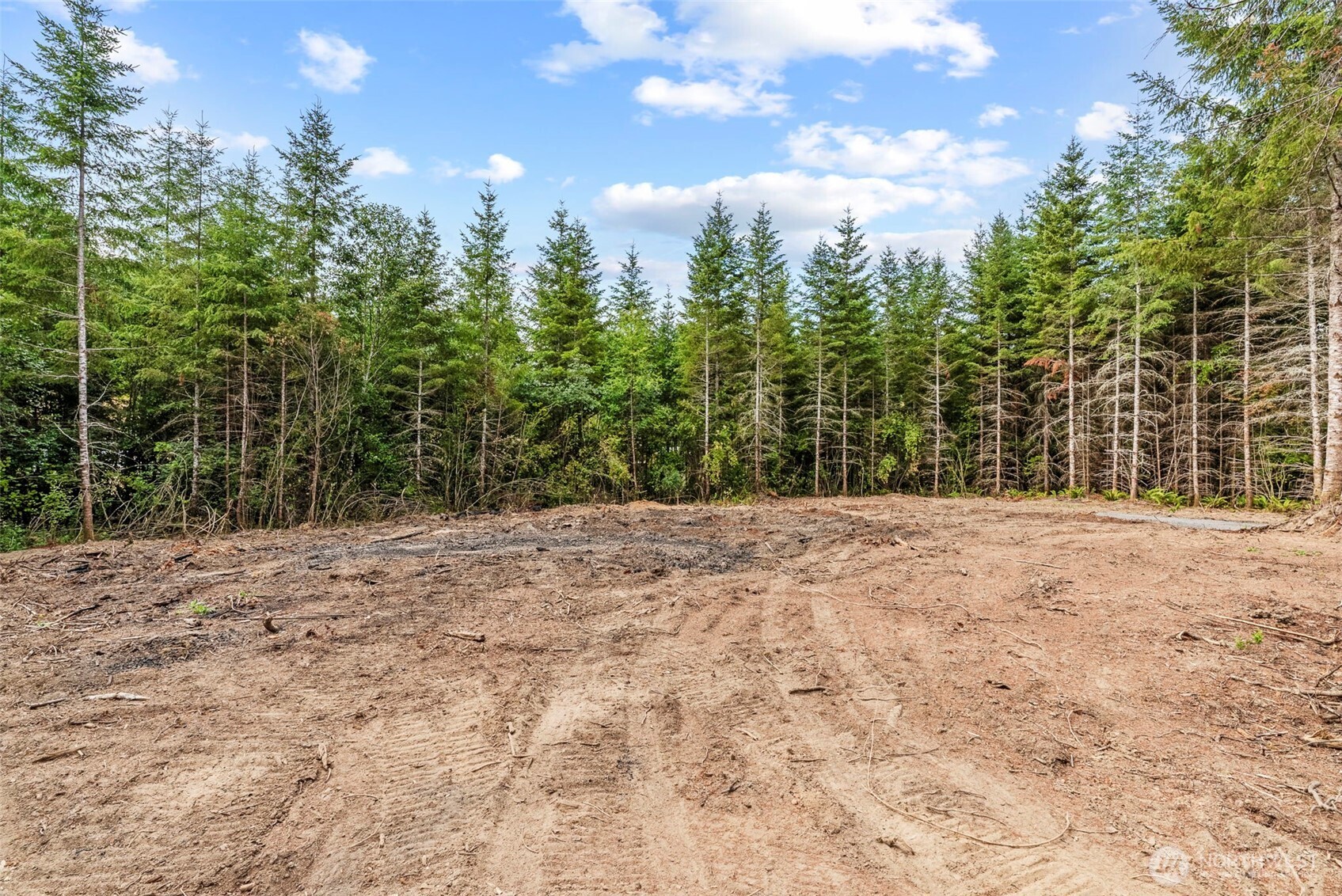 239 Durins Place , Castle Rock, WA 98611