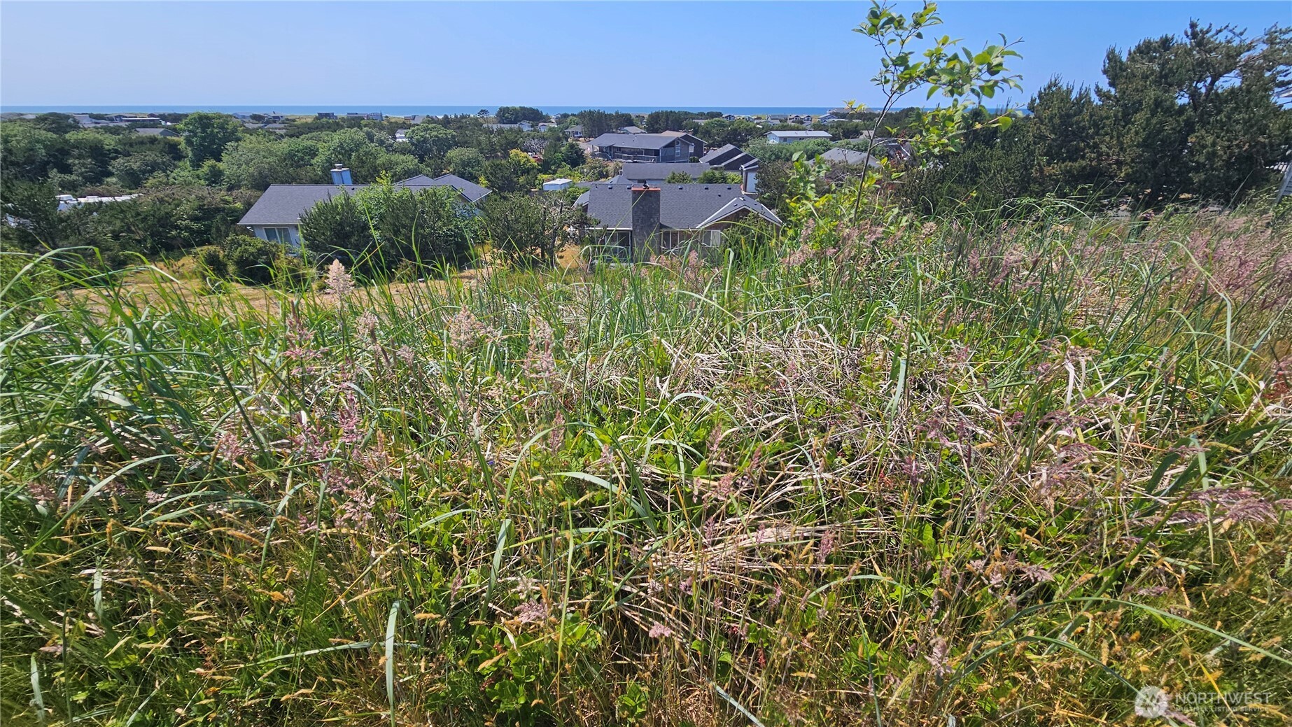 35207 J Place , Ocean Park, WA 98640