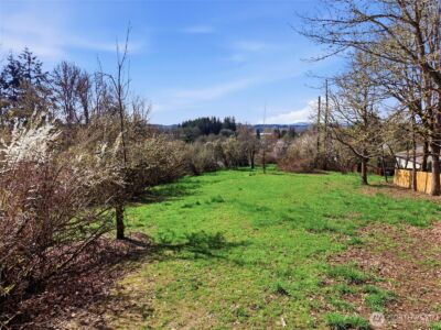0 XXX Jackson Highway , Chehalis, WA 98532 - Photo 4
