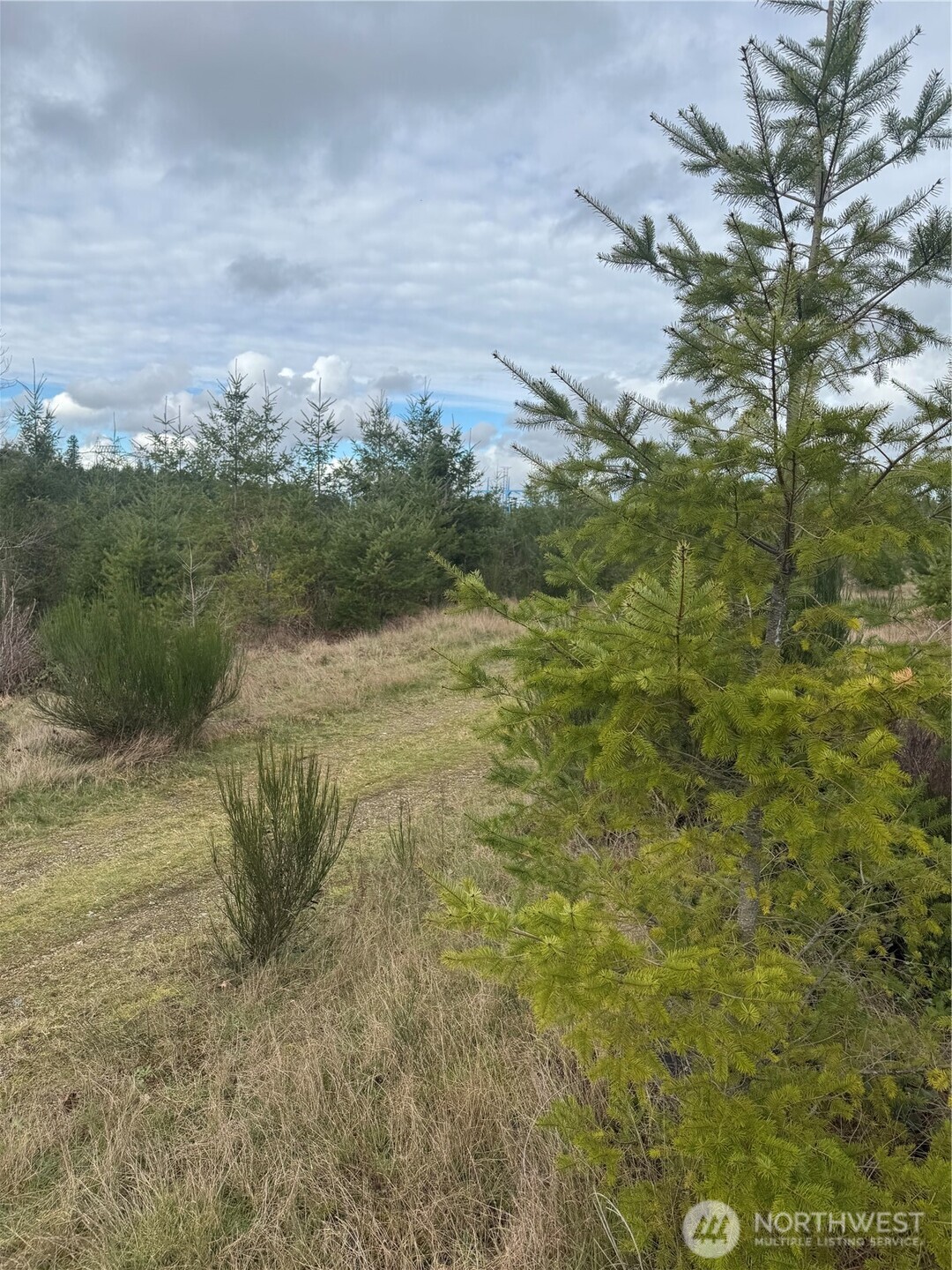 31101 SE Retreat-Kanaskat Road , Ravensdale, WA 98051